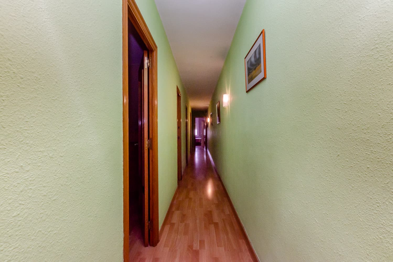 Imagen 14